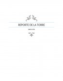REPORTE DE LA TORRE DIRECCIÓN
