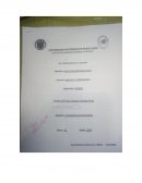 Como se da ka Importancia de la lectura