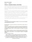 Práctica nº 1. Seguridad Ciudadana y Orden Público