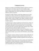 Trabajo en equipo. Trabajando juntos