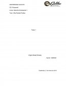 Desarrollo de la Tarea 1 derecho empresarial 1