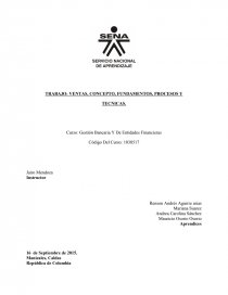 TRABAJO: VENTAS, CONCEPTO, FUNDAMENTOS, PROCESOS Y TECNICAS. Página 1
