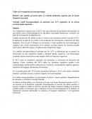 Investigación de neuropsicología