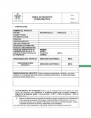 El neuvo Perfil de proyecto etapa practica