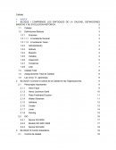 BLOQUE I COMPRENDE LOS ENFOQUES DE LA CALIDAD, DEFINICIONES BASICAS Y SU EVOLUCION HISTORICA