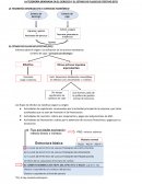 LA TESORERÍA GENERADA EN EL EJERCICIO Y EL ESTADO DE FLUJOS DE EFECTIVO (EFE)