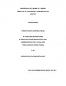 PROGRAMACIÓN MAESTRA. PROGRAMACIÓN DE OPERACIONES