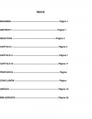 Los beneficios de las licitaciones del IMSS Hidalgo en las PyMEs de Pachuca