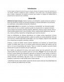 El factor humano. Definición de factor humano