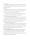 Comercio electronico objetivos