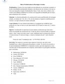 Muros Prefabricados de Hormigón Armado