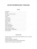 Un poco de morfologia y fisologia