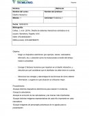 Diseño interactivo Actividad: Evidencia 1