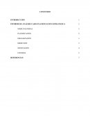 INFORME DE ANALISIS CASOS PLANIFICACION ESTRATEGICA