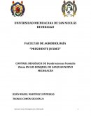 Control biologico del "dendroctonus frontalis" en san juan nuevo