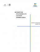 DIVISIÓN DE INGENIERÍA EN GESTIÓN EMPRESARIAL
