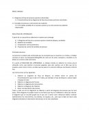 Actividad_2 Nayeli Guadalupe Martinez Sanchez