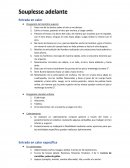 Souplesse Adelante Entrada en calor