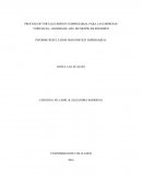 INFORME RESULTADOS DIAGNÓSTICO EMPRESARIAL HOTEL LAS ACACIAS