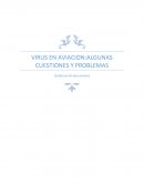 VIRUS EN AVIACION:ALGUNAS CUESTIONES Y PROBLEMAS