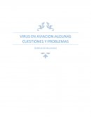 VIRUS EN AVIACION:ALGUNAS CUESTIONES Y PROBLEMAS