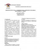 INFORME DE LABORATORIO PRÁCTICA