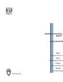 Actividad final semestre 1sociologia