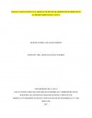 ENSAYO INNOVACIÓN EN EL MODELO DE REUSO DE DISPOSITIVOS MÉDICOS EN EL DEPARTAMENTO DEL CAUCA
