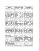 Como se da la Acticidad integradora