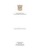 Ensayo Critico Película “The Intern”