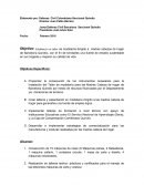 PROYECTO AGUJA NARANJA