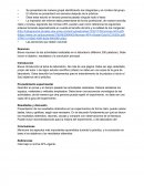 Breve resumen de las actividades realizadas en el laboratorio (Máximo 200 palabras). Debe incluir el objetivo, resultados y la conclusión principal