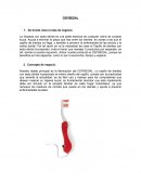 Actividad final innovación. ﻿CEPISEDAL