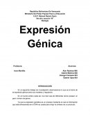 Expresión Génica Biología