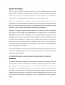 Resumen Ejecutivo sobre Estudio del Trabajo