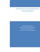LA PLANEACIÓN FISCAL EN EL CONTRATO DE ASOSIACIACIÓN EN PARTICIPACIÓN