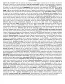 Ecotoxicologia Ensayo