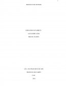 LA IGUALDAD: UN DERECHO UNIVERSAL