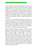 Presentación del Plan de Gestión Ambiental bajo la Norma Iso-14001