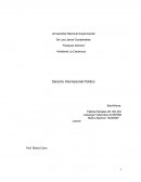 Derecho Internacional Público. Trabajo