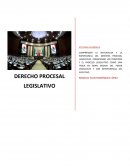 DERECHO PROCESAL LEGISLATIVO
