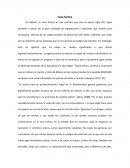 Como se da la Caza furtiva y venta ilegal