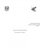 Busca información sobre las condiciones de trabajo en otros países y compáralo con la situación en México.