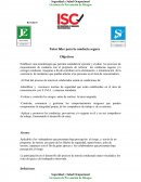 Plan de accion conductas seguras