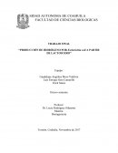 PRODUCCIÓN DE HIDRÓGENO POR Escherichia coli A PARTIR DE LACTOSUERO