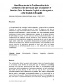 Contaminación por mala disposición de residuos organicos
