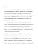 La farmacogenética estudia la variabilidad en la respuesta ante un tratamiento debido a factores genéticos del individuo o de la población
