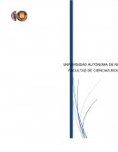 Las Islas Galápagos . Lugar de las criaturas más extrañas que podemos imaginar