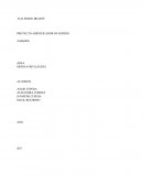 Amplificador de sonido. Plan de negocios