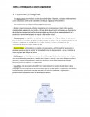 Introducción al diseño organizativo